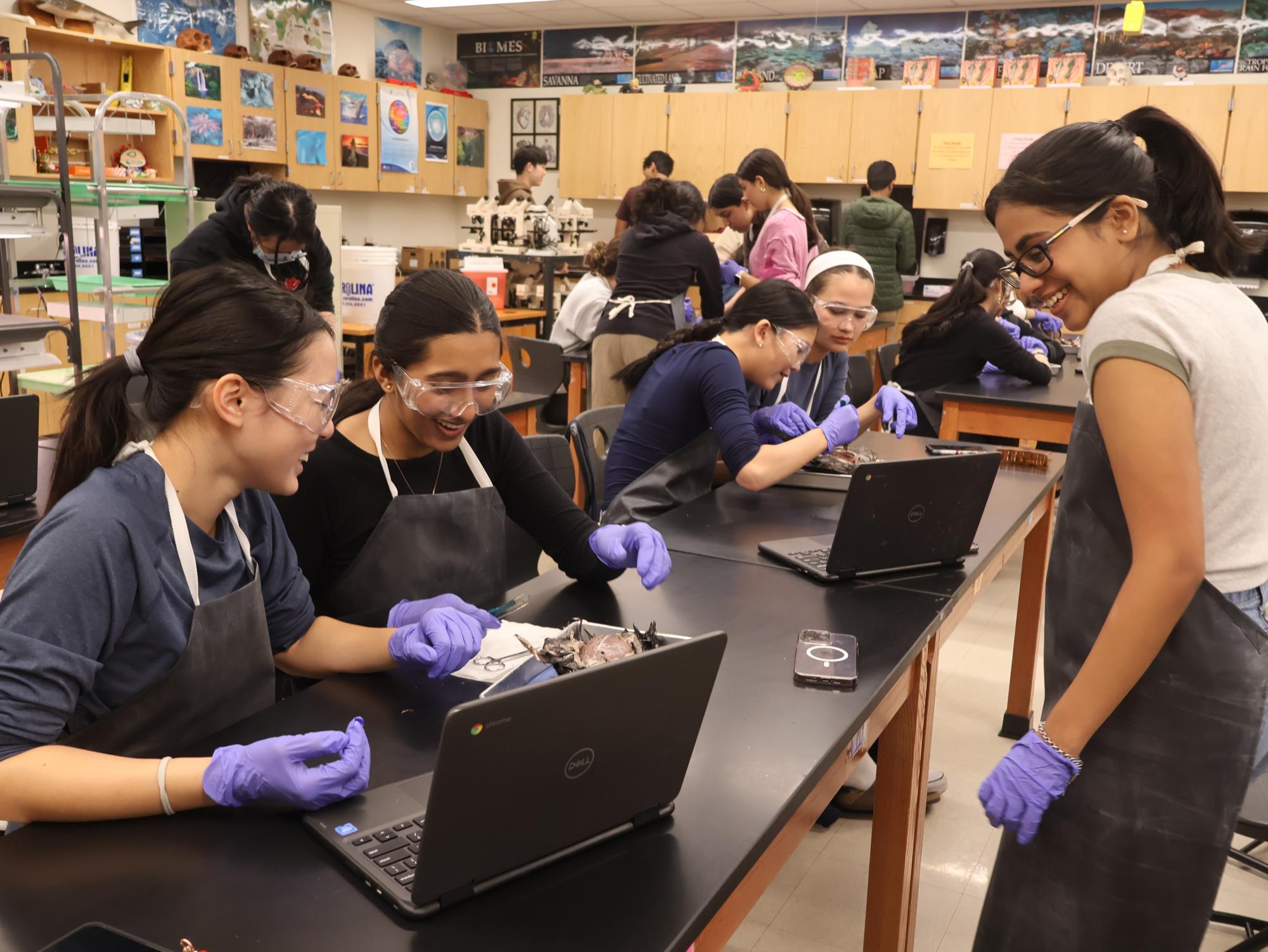 Bird’s Eye View: Anatomy & Dissection Club Observes Pigeon Anatomy