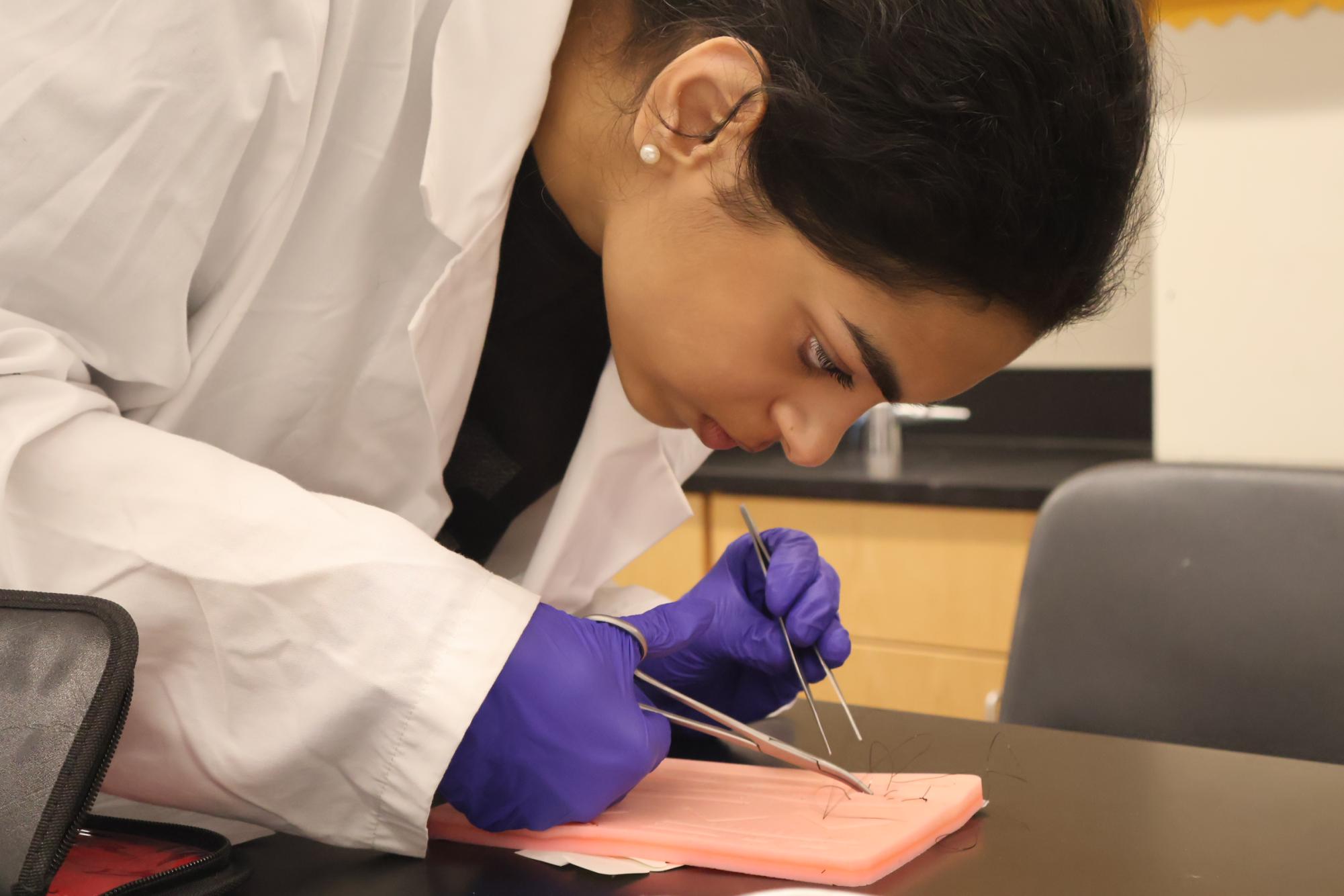 Forensics Students Perform Fetal Pig Autopsies