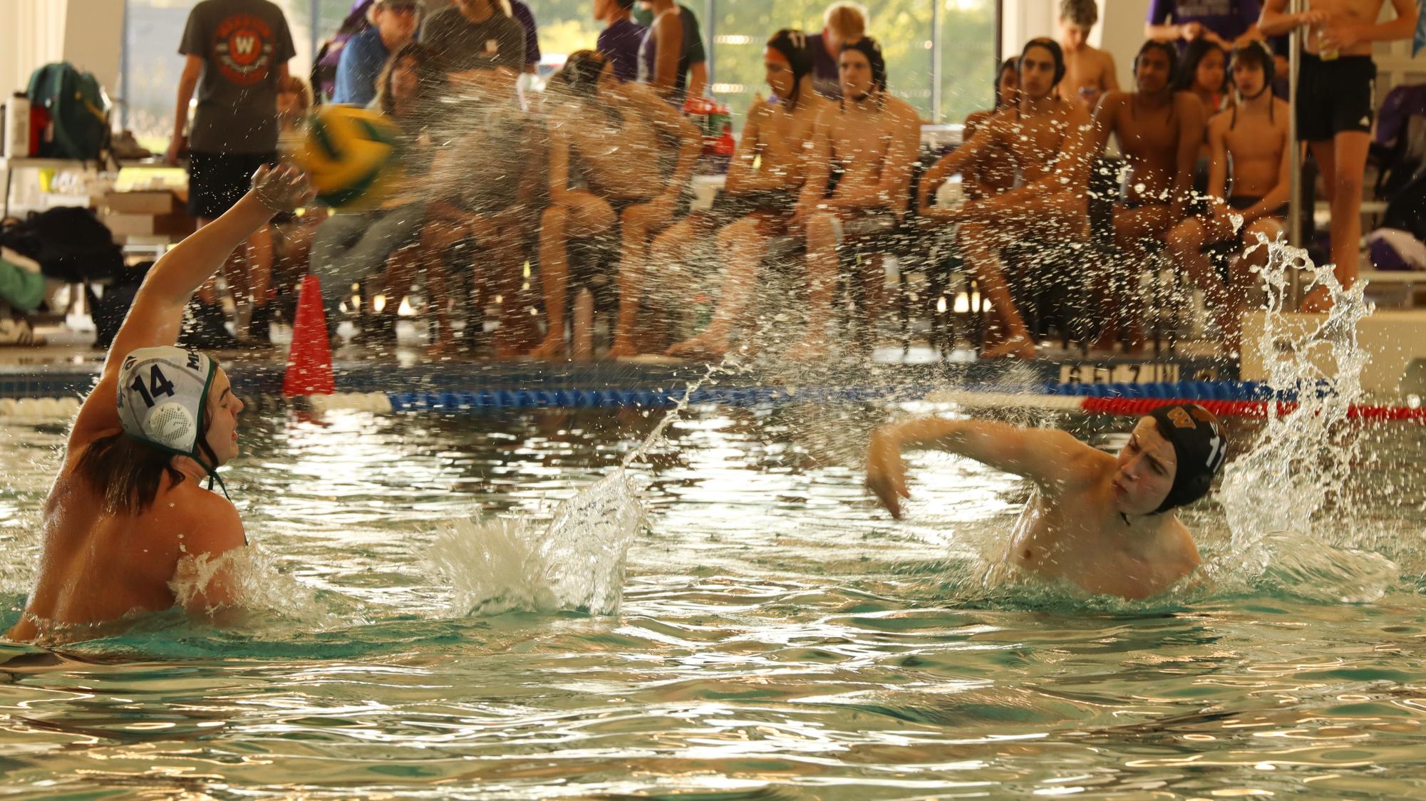 Boys Water Polo Takes Home the Win on Last Game Before Playoffs