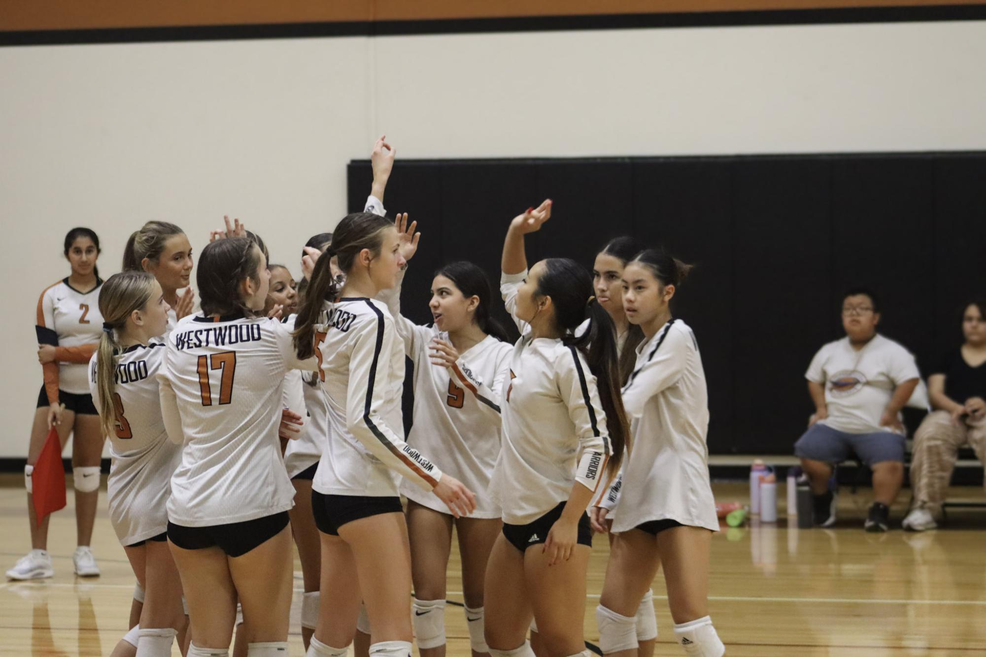 JV White Volleyball Falls Victim to Vandegrift Vipers 2-0