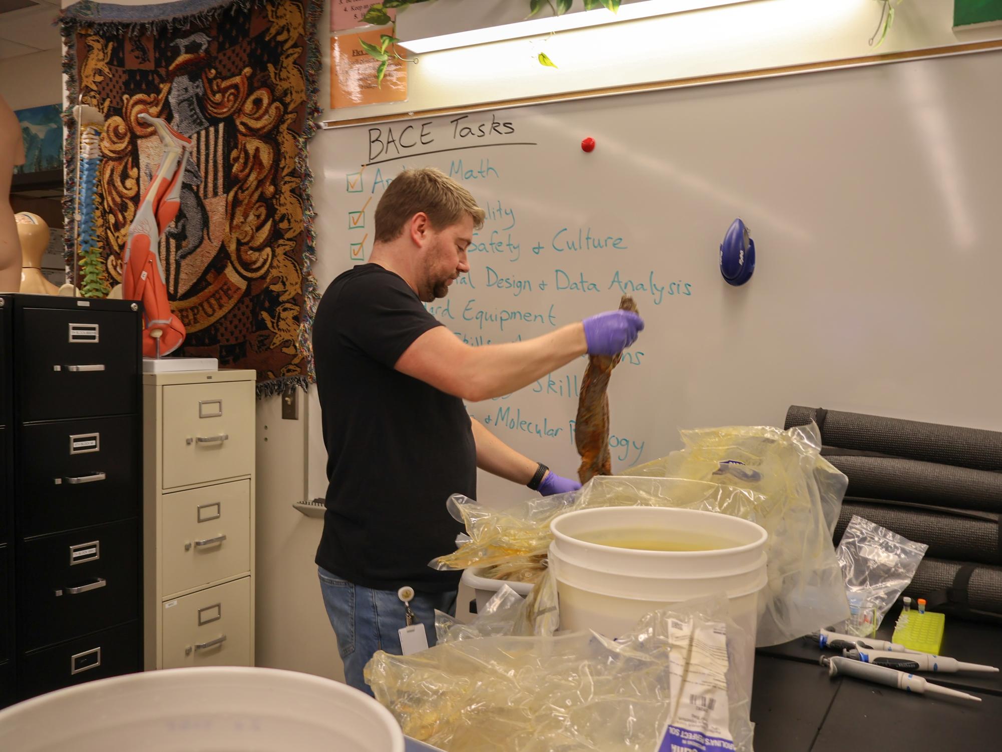 Anatomy & Dissection Club Finds Food in Iguana Stomachs at First Meeting of School Year