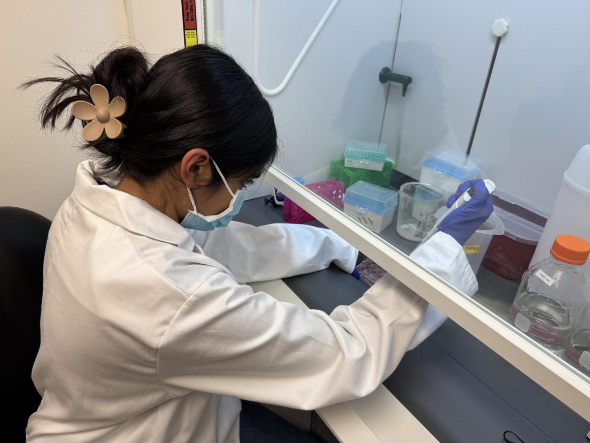 Pipetting carefully, Uma Sthanu '26 studies neuron growth in the quiet hum of a lab. Early science fair experiences strengthened Sthanu's communication and commitment to solving problems, lessons that followed her to the international stage. “When I saw my results working — and judges told me about people in their own lives who could benefit — it cemented just how important my research is,” Sthanu said.