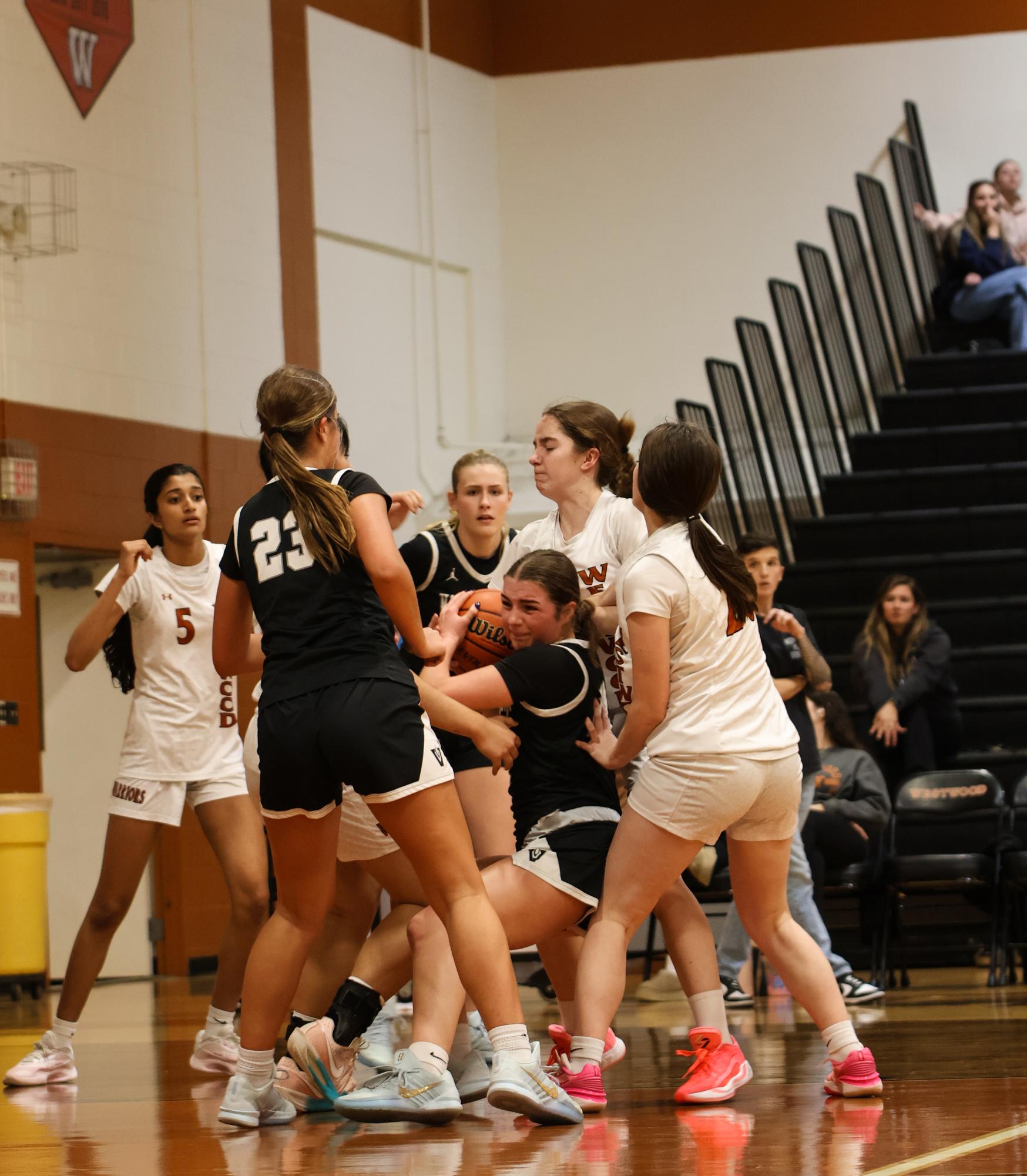 JV Women's Basketball Defang Vandegrift Vipers in 41-32 Victory