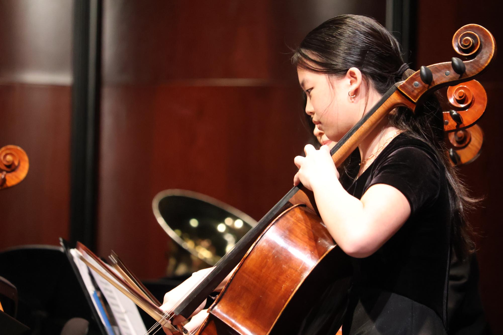 Hitting a High Note: Full Orchestra Performs at TMEA Convention
