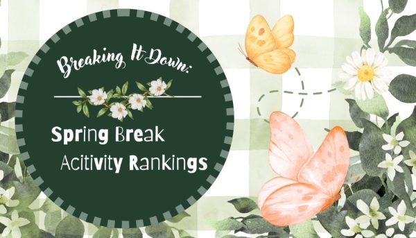 Just in time for spring break, here are some break activities, ranked! Dive into spring with not only its fun times graded, but maybe even a to-do list, from best to worst.