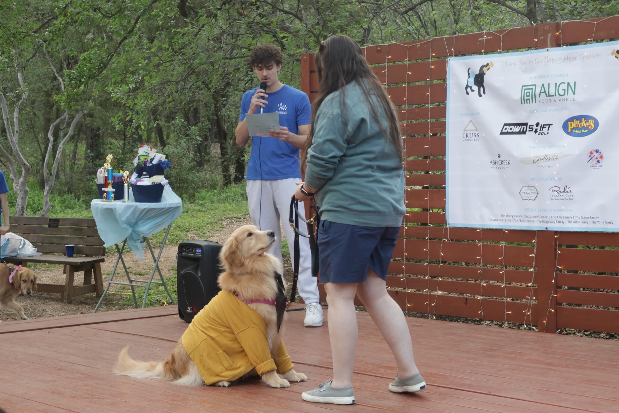 Paws For a Cause