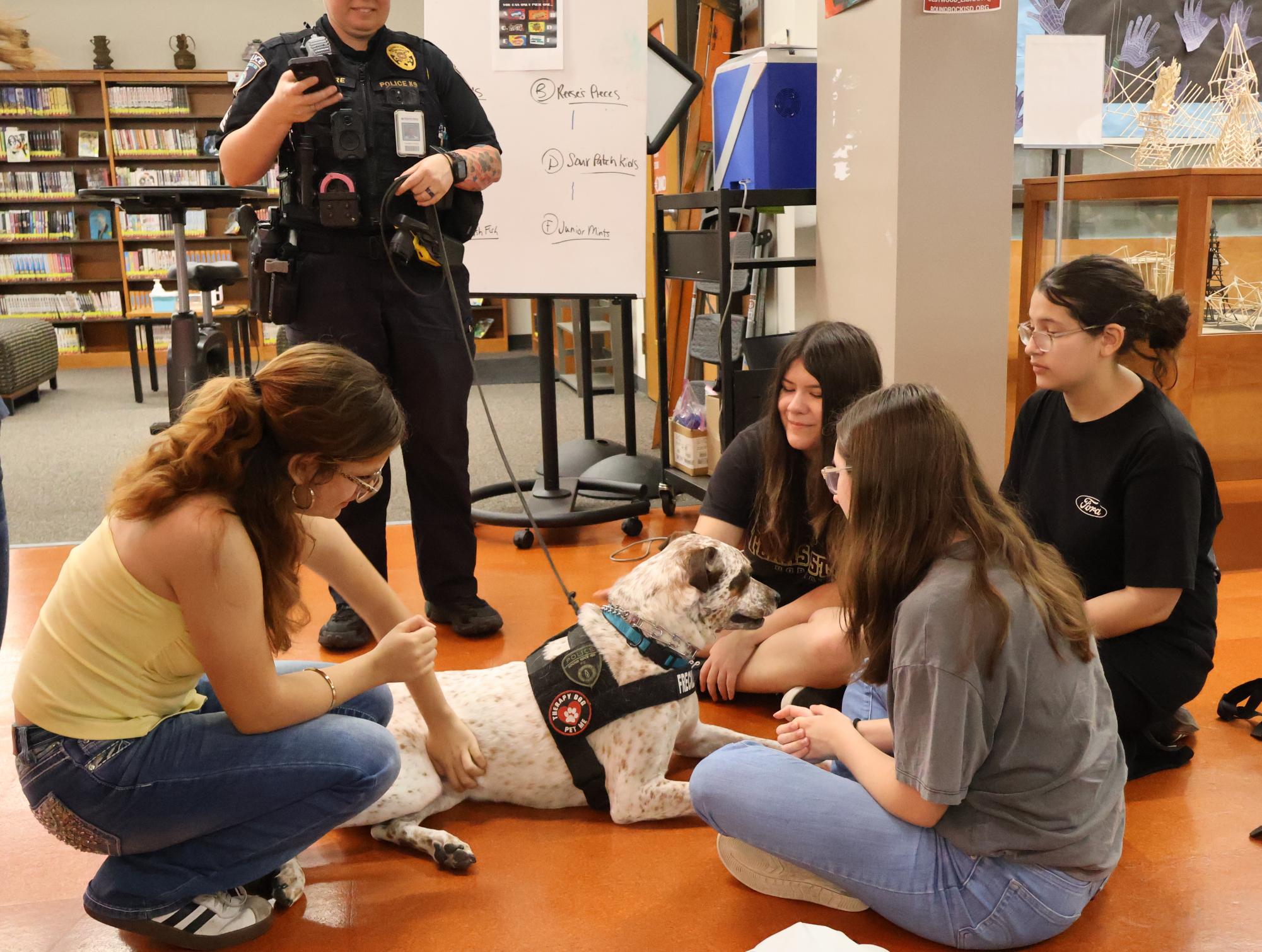Paws Before Tests: Freckles the Therapy Dog Helps Students Reset